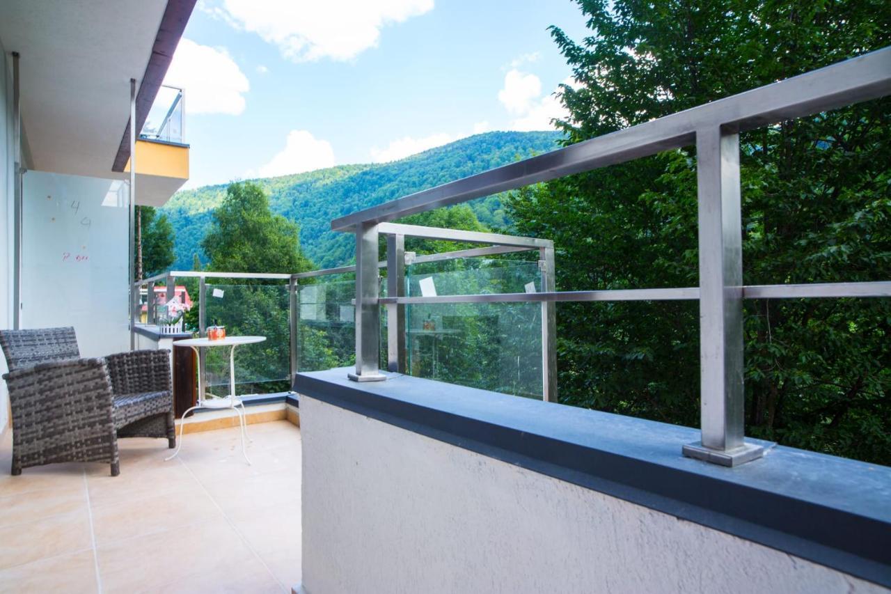 Vlad Apartments -Colina Marei Sinaia Dış mekan fotoğraf